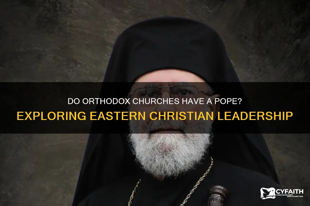 do orthodox churches have a pope
