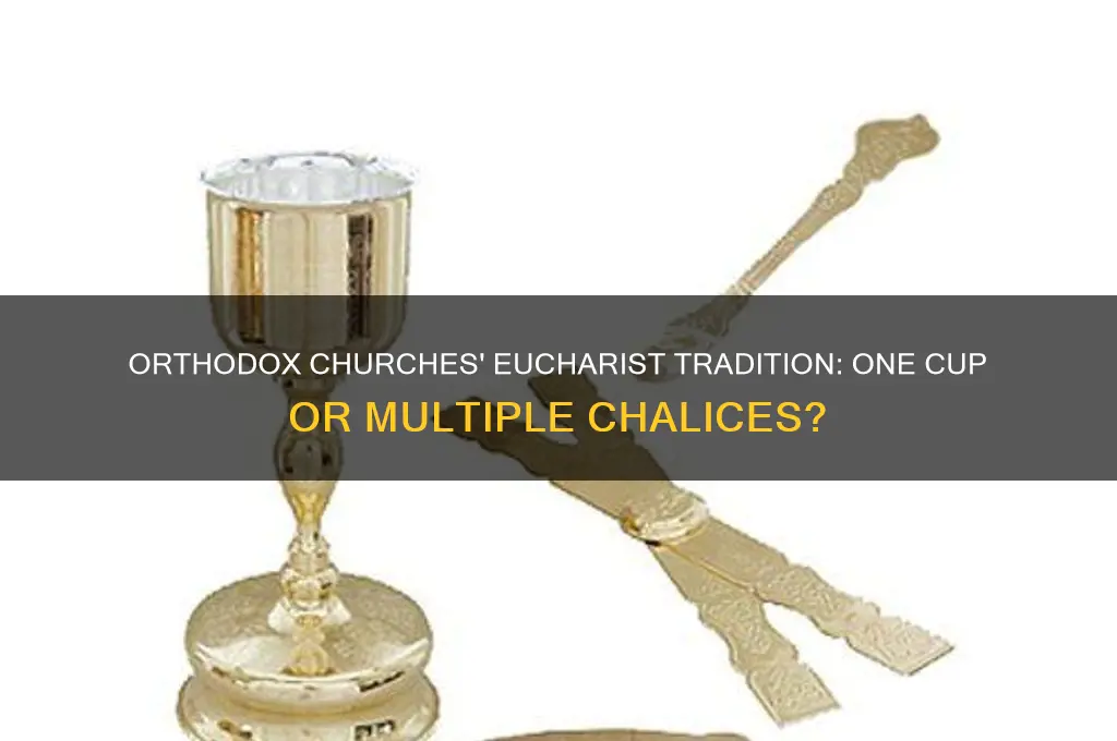 do orthodox churches use one cup in the eucharist