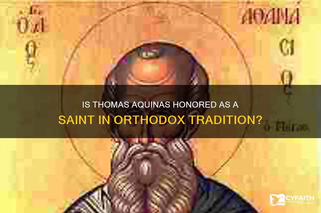do orthodox consider thomas aquinas a saint