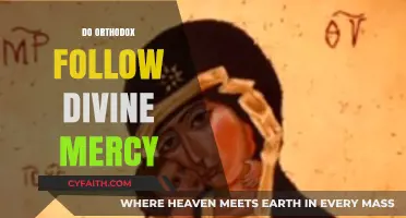 Do Orthodox Christians Embrace the Divine Mercy Devotion?