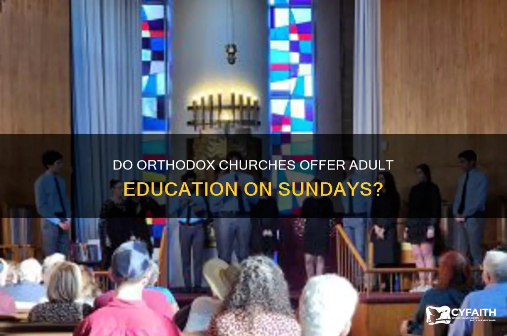 do orthodox have adult education on sundays
