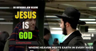 Do Orthodox Jews Believe Jesus is God? Exploring Jewish Theology