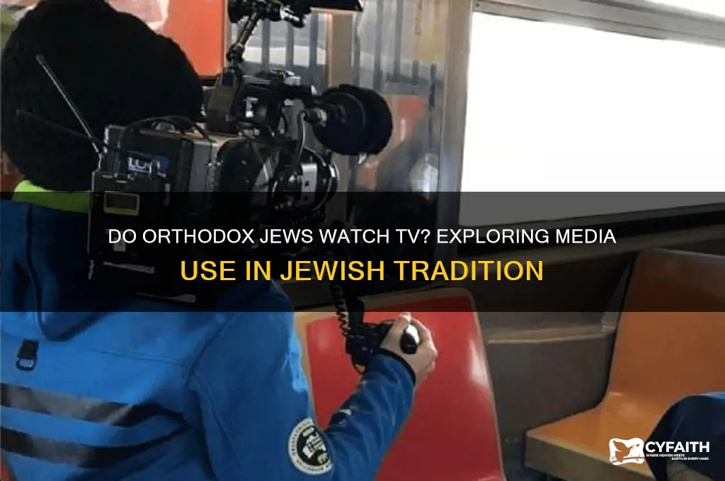 do orthodox jewish watch tv