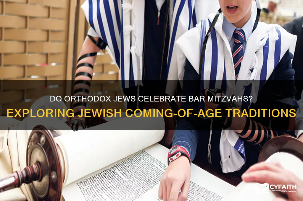 do orthodox jews barmispha