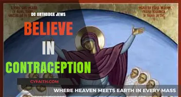 Orthodox Jewish Views on Contraception: Beliefs, Practices, and Halacha Explained