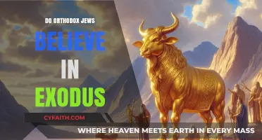 Do Orthodox Jews Believe in the Exodus? Exploring Faith and Tradition