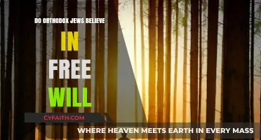 Free Will in Orthodox Judaism: Beliefs, Teachings, and Perspectives