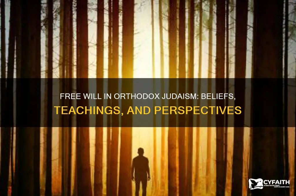 do orthodox jews believe in free will