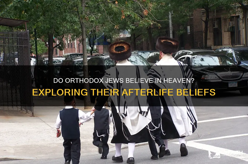 do orthodox jews believe in heaven