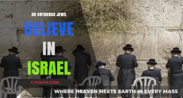 Orthodox Jews and Israel: Beliefs, Perspectives, and Complex Relationships Explored