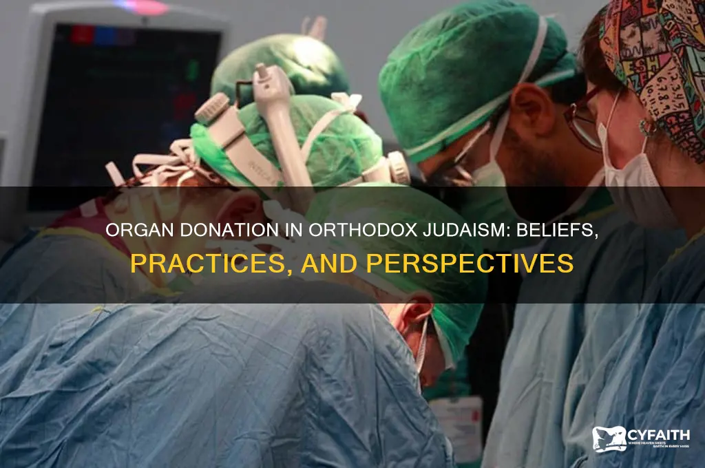 do orthodox jews believe in organ donation