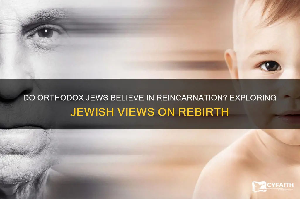 do orthodox jews believe in reincarnation
