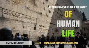 The Sanctity of Life: Orthodox Jewish Beliefs and Values Explored