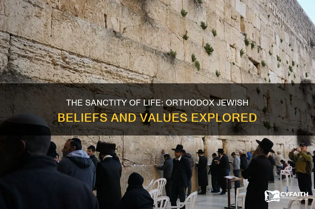 do orthodox jews believe in the sanctity of human life