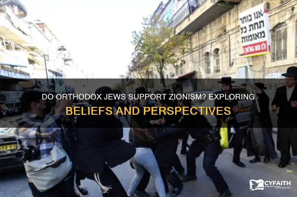 do orthodox jews believe in zionism