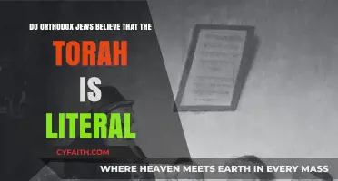 Is the Torah Literal? Exploring Orthodox Jewish Beliefs and Interpretations