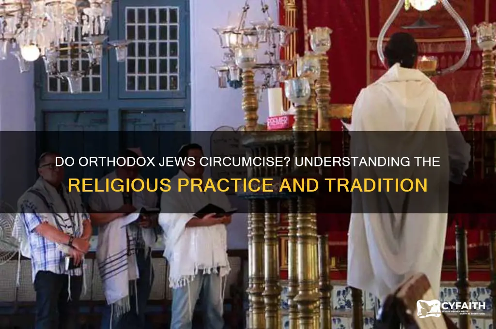 do orthodox jews circumcise