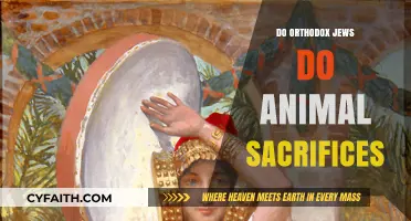 Do Orthodox Jews Practice Animal Sacrifices Today? Exploring Ancient Rituals
