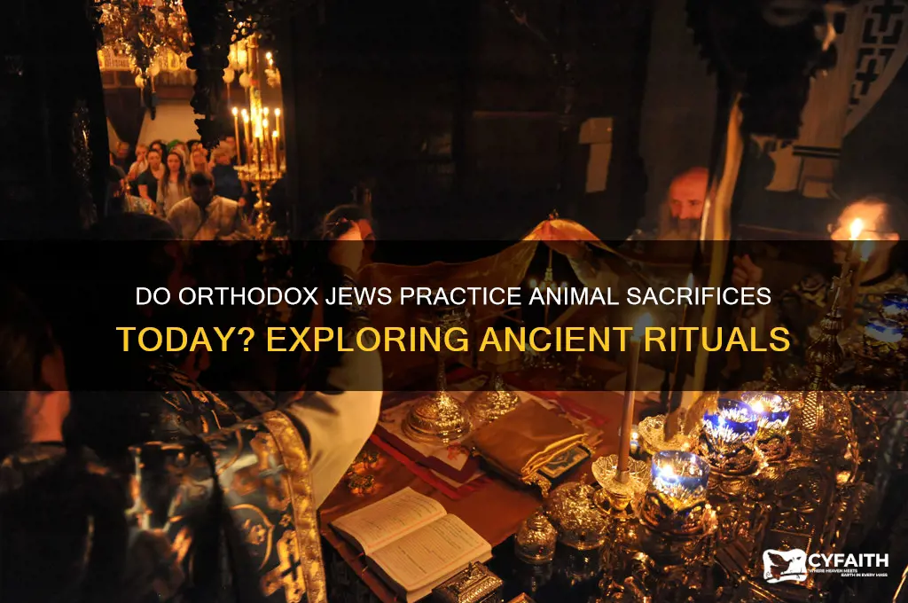 do orthodox jews do animal sacrifices