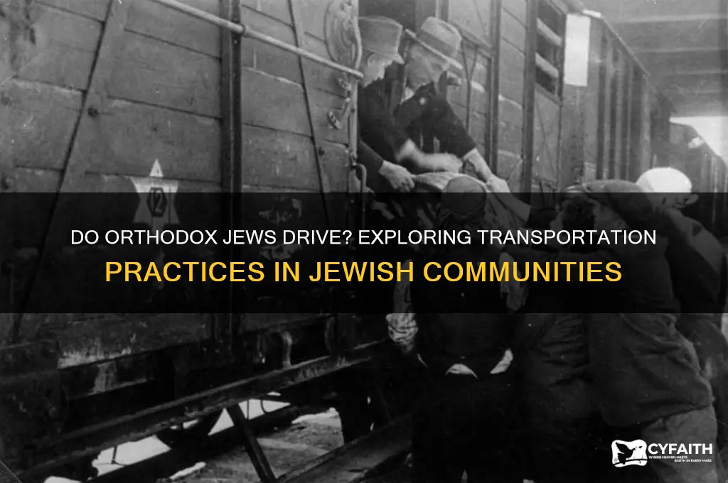 do orthodox jews drive