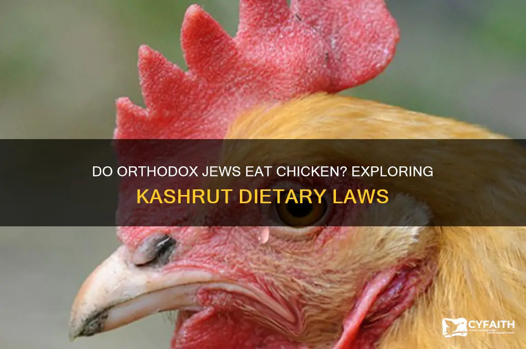 do orthodox jews eat chicken