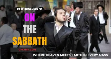 Do Orthodox Jews Fly on the Sabbath? Exploring Halachic Perspectives