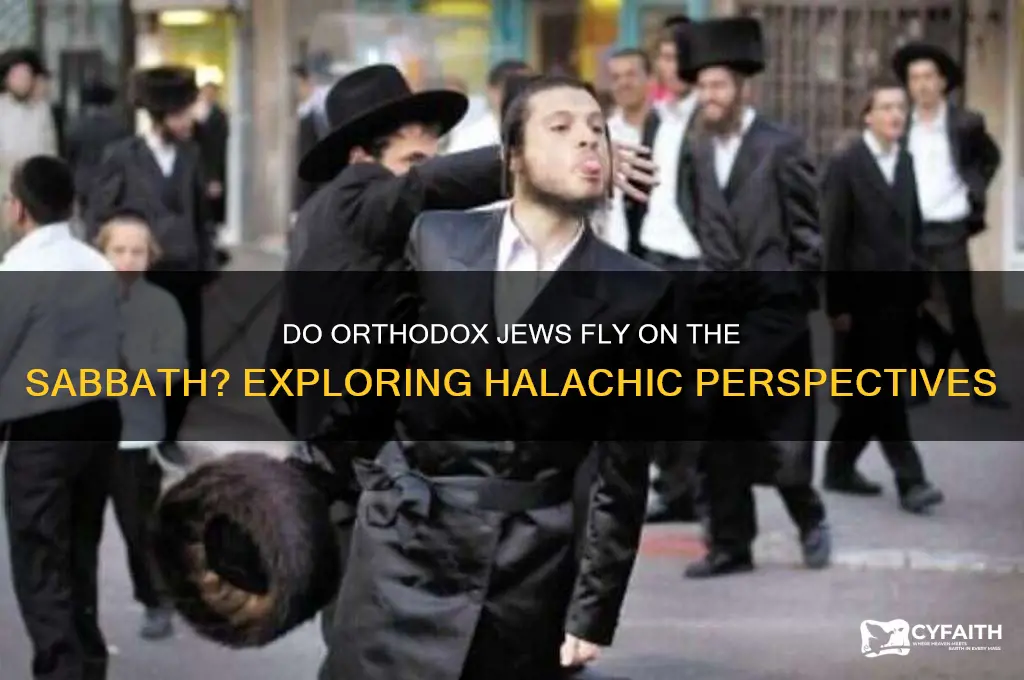 do orthodox jews fly on the sabbath