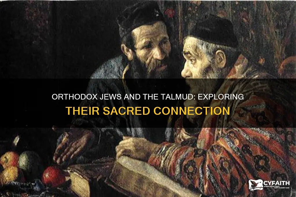 do orthodox jews follow the talmud
