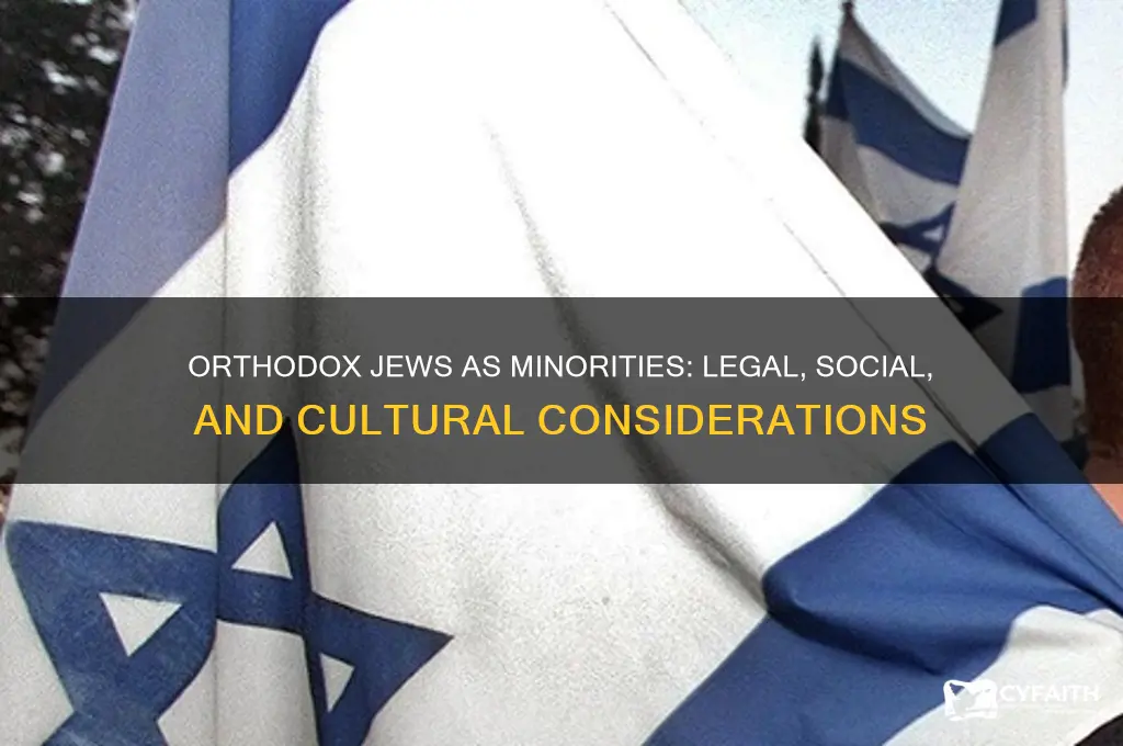 do orthodox jews get minority consideration