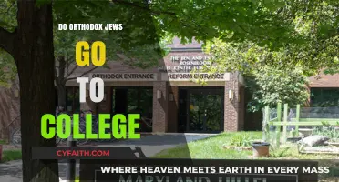 Do Orthodox Jews Attend College? Balancing Tradition and Higher Education