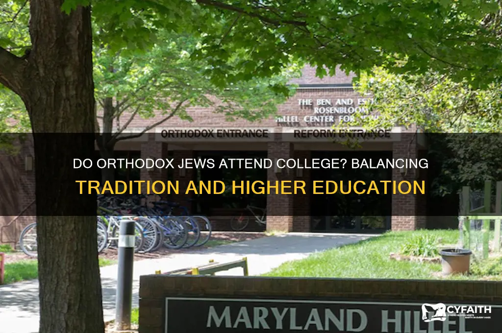 do orthodox jews go to college