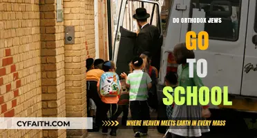 Orthodox Jewish Education: Do They Attend Traditional Schools?