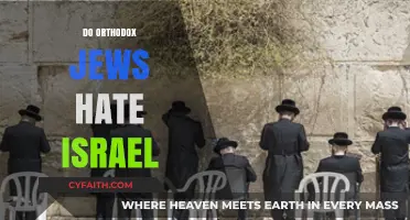 Do Orthodox Jews Hate Israel? Debunking Myths and Understanding Beliefs