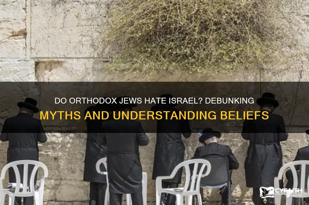 do orthodox jews hate israel