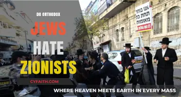 Orthodox Jews and Zionism: Misunderstandings, Divisions, and Complex Relationships