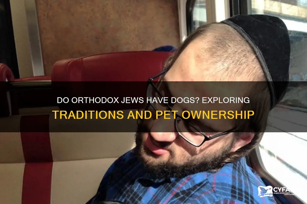 do orthodox jews have dogs