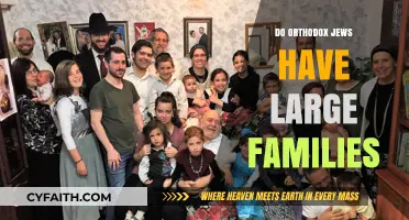 Orthodox Jewish Families: Exploring the Tradition of Larger Households