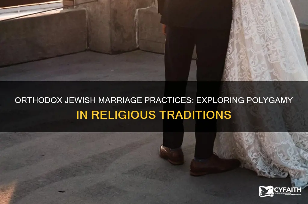 do orthodox jews have more than one wife
