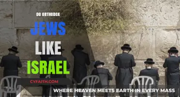 Do Orthodox Jews Support Israel? Exploring Complex Beliefs and Perspectives
