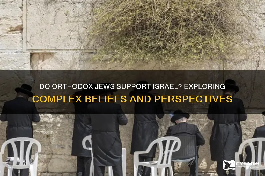 do orthodox jews like israel