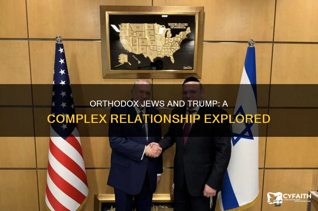 do orthodox jews like trump