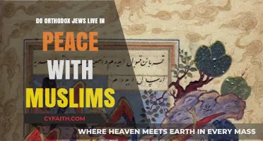 Orthodox Jews and Muslims: Coexistence, Challenges, and Paths to Peace