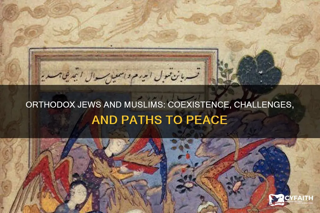 do orthodox jews live in peace with muslims