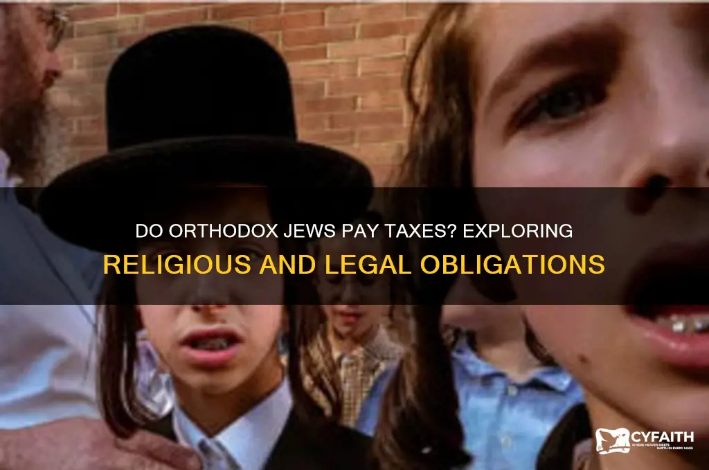 do orthodox jews pay taxes