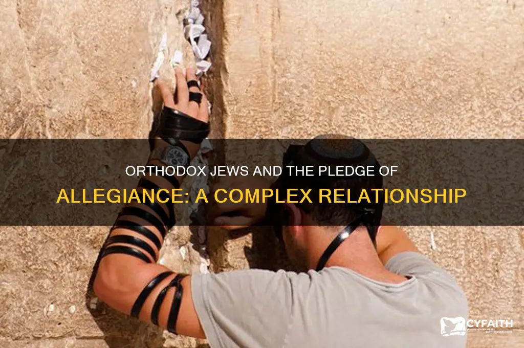 do orthodox jews pledge of allegiance