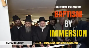 Orthodox Jewish Rituals: Baptism by Immersion Explained and Examined