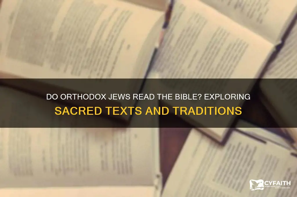 do orthodox jews read the bible