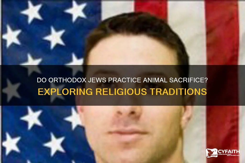 do orthodox jews sacrifice