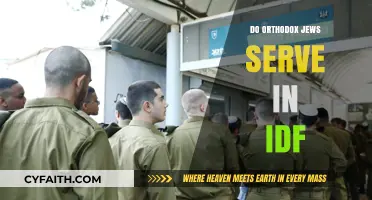 Orthodox Jews in the IDF: Service, Beliefs, and National Duty Explained