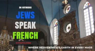Do Orthodox Jews Speak French? Exploring Language and Culture